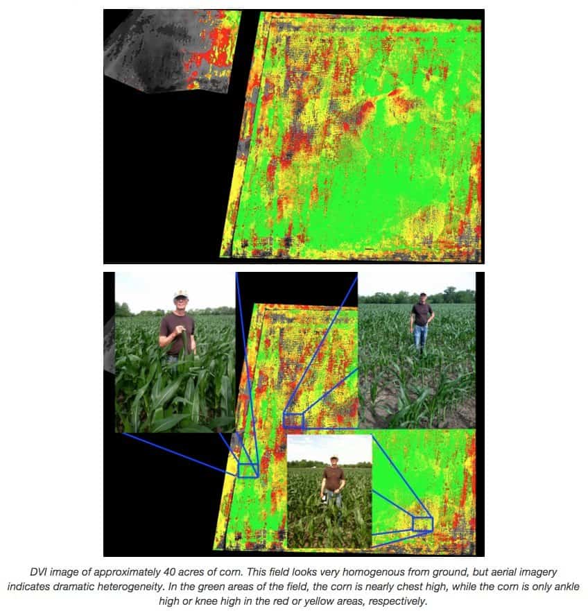 Agriculture Drone Buyers Guide - DVI images of 40 acres of corn courtesy Agribotix